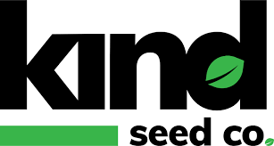 Cannabis Seeds Massachusetts A Comprehensive Guide Cannabis Seeds Massachusetts A Comprehensive Guide