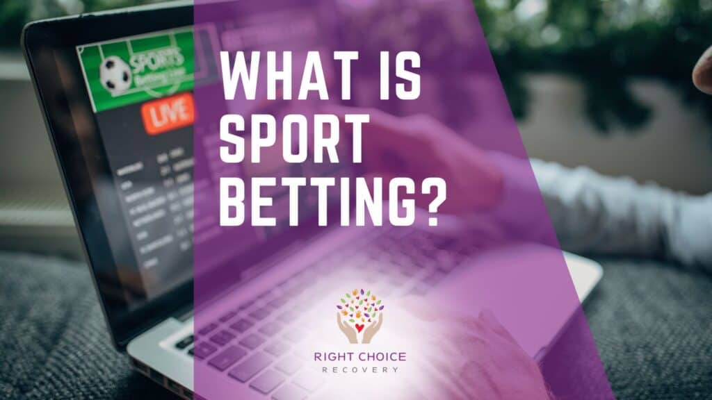 Top Casinos Offering U.S. Dollar and Euro Support Top Casinos Offering U.S. Dollar and Euro Support