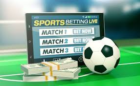 Betwinner Your Ultimate Betting Partner -241340060
