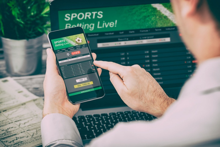 Uncover the Thrills of Spinfred Casino A Comprehensive Overview