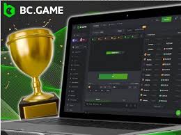 Comprehensive Overview of the BC App Features and Benefits